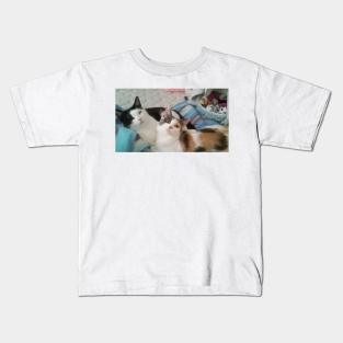 Cats on a bed Kids T-Shirt